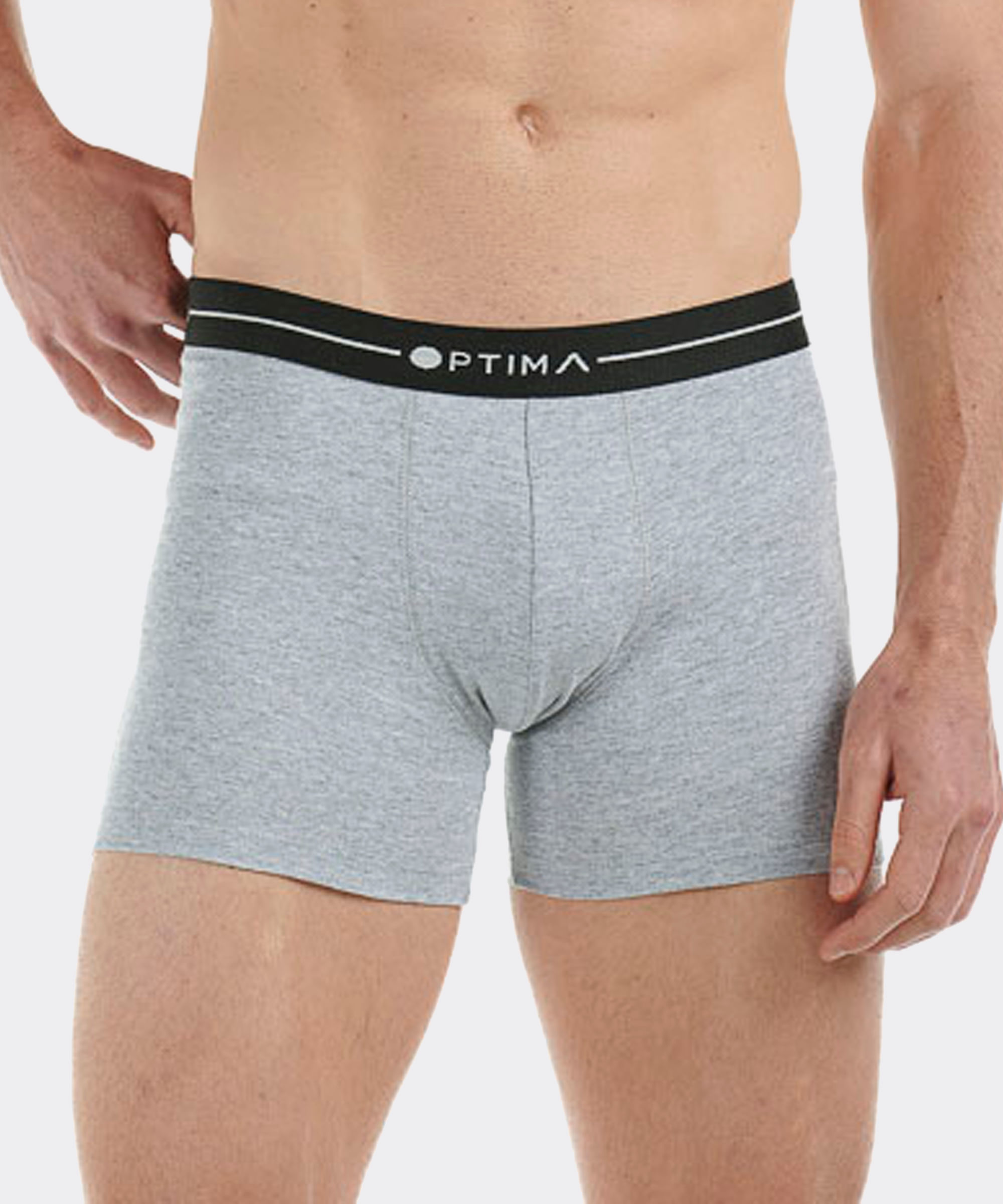 Bóxer de Caballero Optima