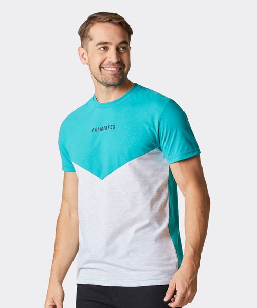 Playera  de  Caballero