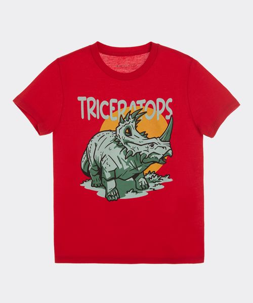 Playera  de  Niño Infantil