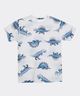 Playera  de  Niño Infantil