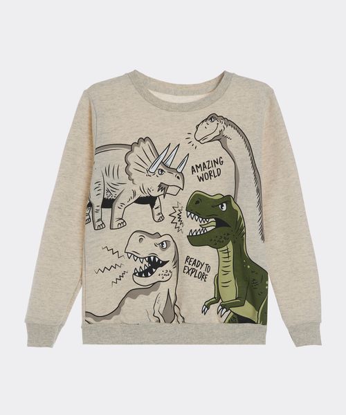 Sudadera  de  Niño Infantil