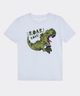 Playera  de  Niño Infantil