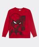 Sudadera Spiderman de  Niño Infantil