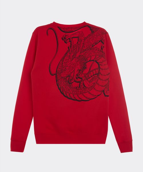 Sudadera Dragon Ball de  Niño Juvenil