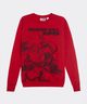 Sudadera Dragon Ball de Niño Juvenil