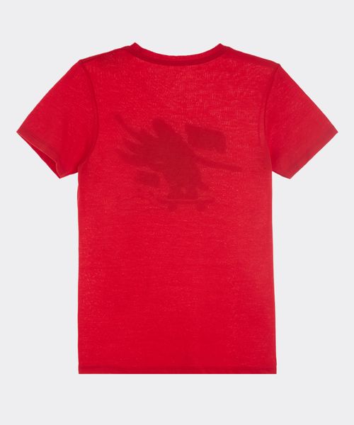 Playera  de  Niño Juvenil