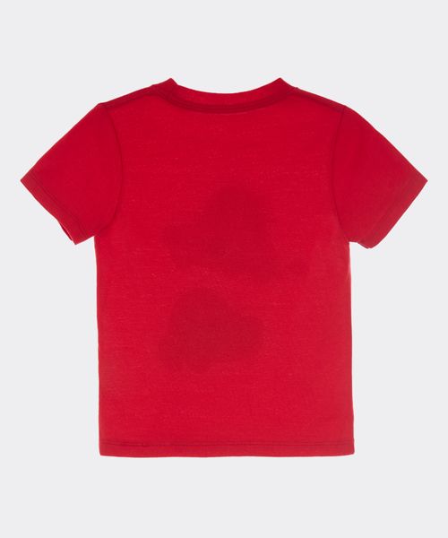 Playera  de  Bebo Años