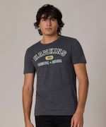 Playera de Caballero