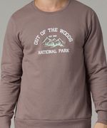 Sudadera de Caballero