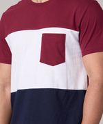 Playera de Caballero