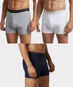 Boxer  de  Caballero