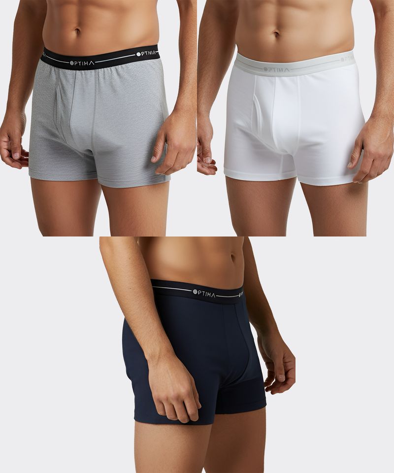 Boxer  de  Caballero