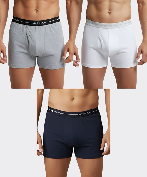 Boxer  de  Caballero