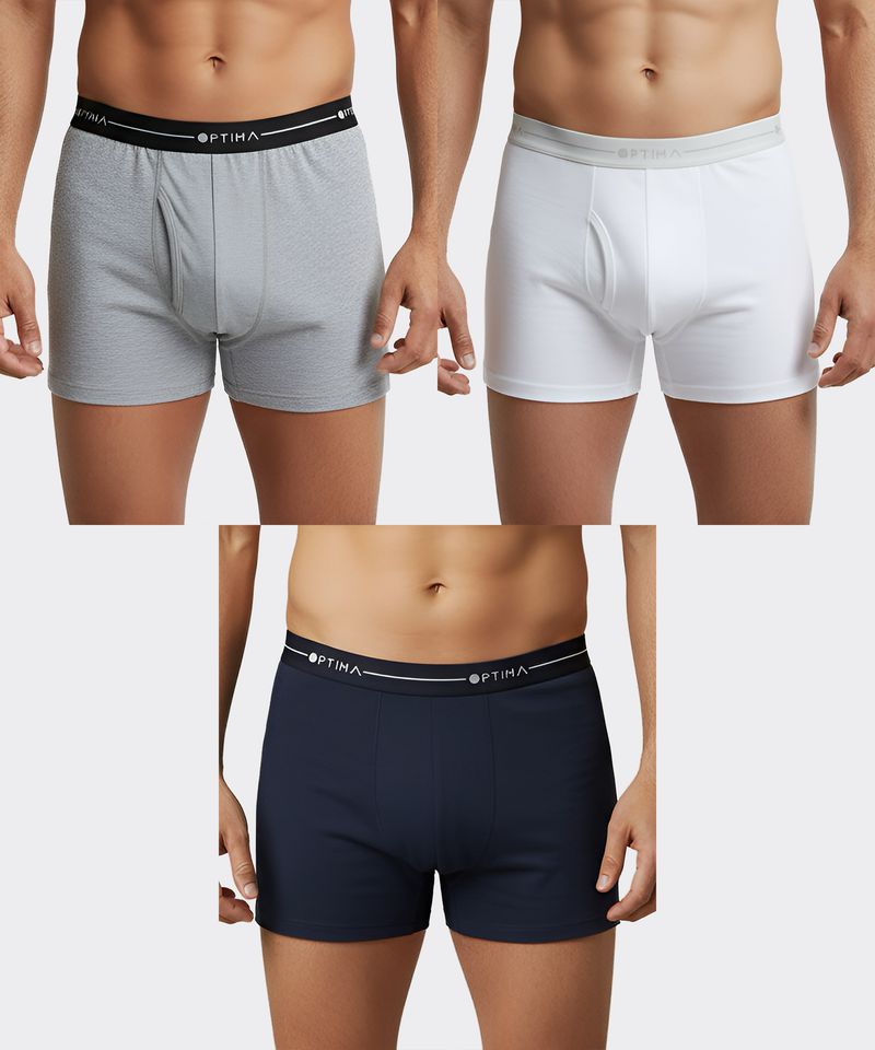 Boxer  de  Caballero