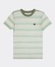 Playera  de  Niño Juvenil