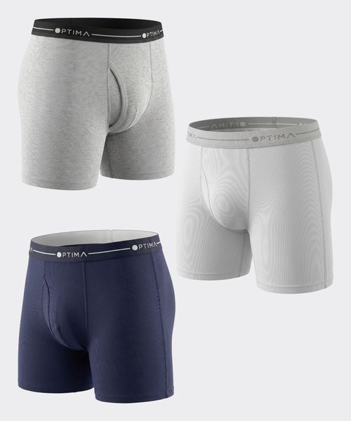 Boxer  de  Caballero