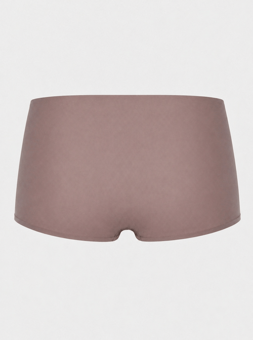 Boxer  de  Dama