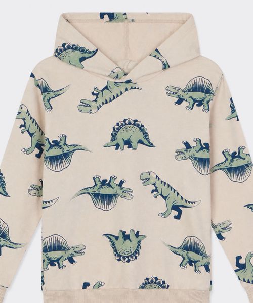 Sudadera  de  Niño Infantil