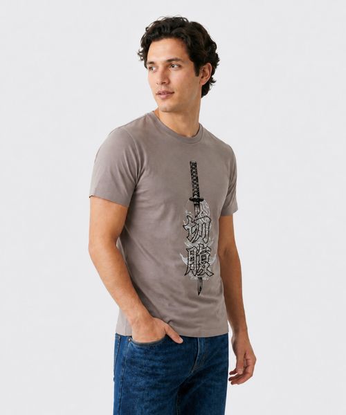 Playera  de  Caballero
