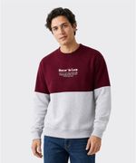 Sudadera  de  Caballero