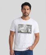 Playera de Caballero
