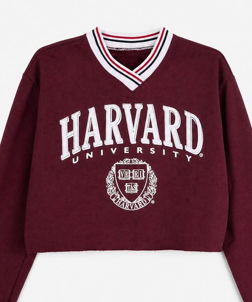 Sudadera Harvard de  Niña Juvenil