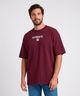 Playera  de  Caballero