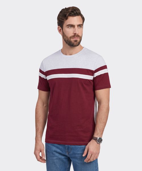Playera  de  Caballero