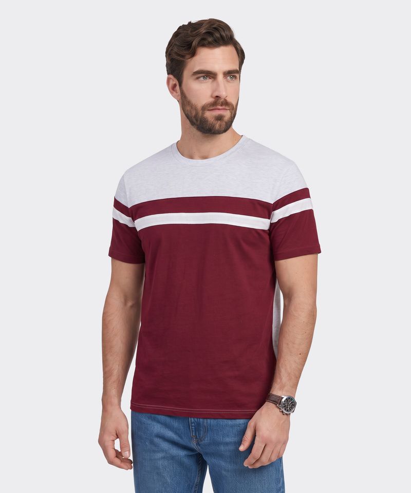 Playera  de  Caballero