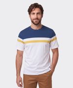 Playera  de  Caballero