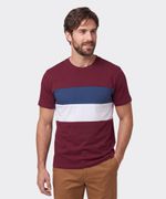 Playera  de  Caballero