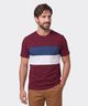 Playera  de  Caballero