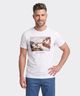 Playera  de  Caballero